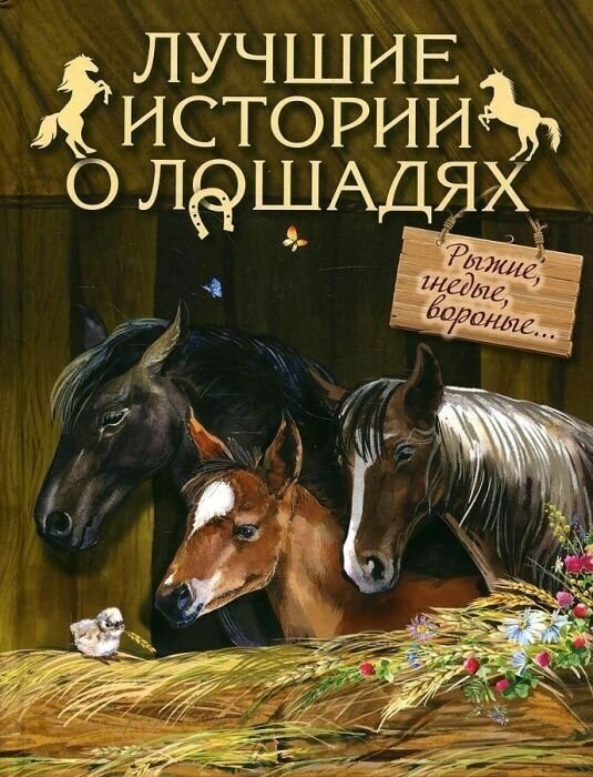 Лучшие истории о лошадях. Рыжие, гнедые, вороные... - фото №1