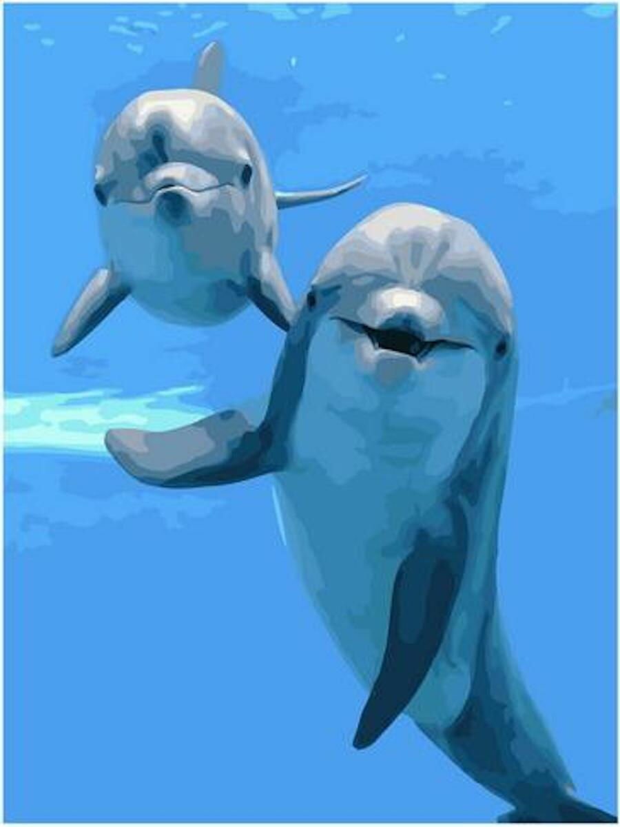 Картина по номерам Привет от дельфина 40х50 см АртТойс