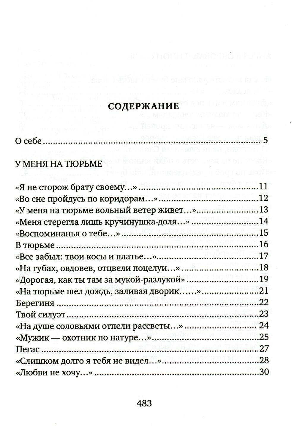 Соколиная книга (Соколкин Сергей Юрьевич) - фото №7