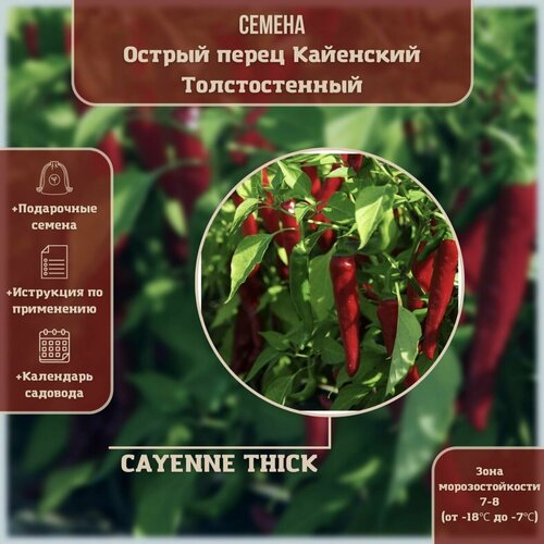 Перец острый Кайенский Толстостенный (лат. Cayenne Thick) семена 15шт + подарочек перец острый фиолетовый кайенский лат cayenne purple семена 5шт подарочек