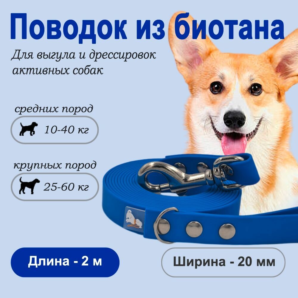 Поводок из...