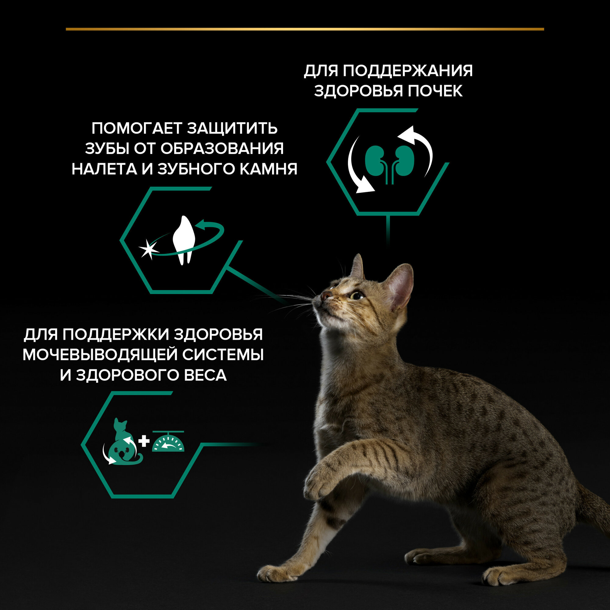 Сухой корм PRO PLAN Sterilised RENAL PLUS для стерилизованных кошек для поддержания здоровья почек, с высоким содержанием индейки, 1,5 кг + 400 г в подарок — фото 1