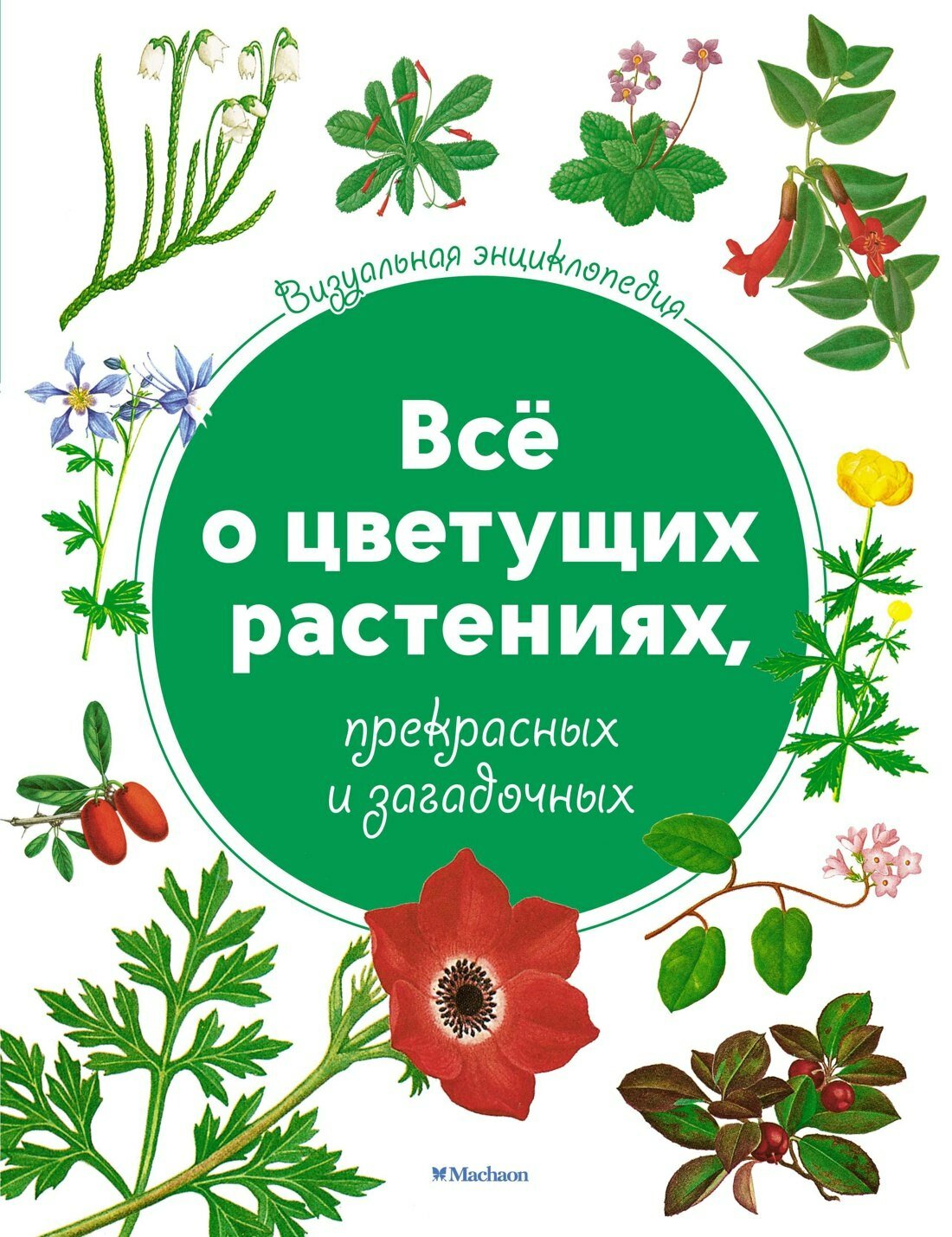 Всё о цветущих растениях, прекрасных и загадочных. Визуальная энциклопедия / Тони Харрис