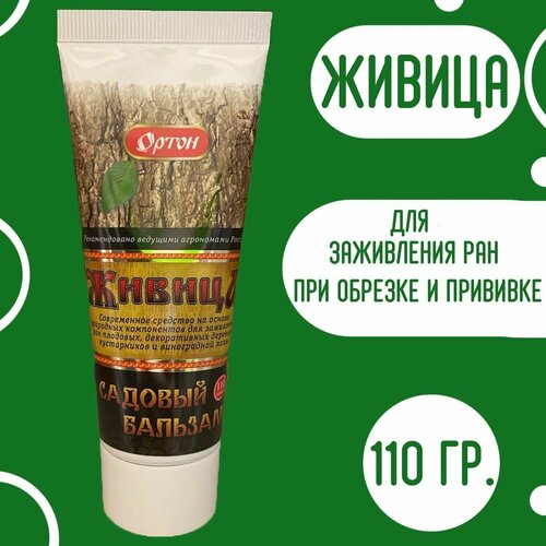 Ортон)