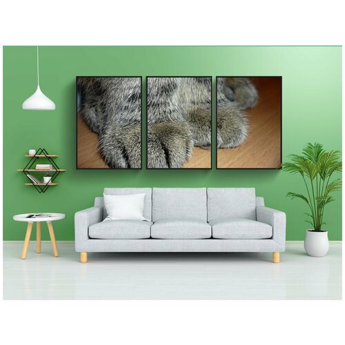 фото Набор модулных постеров для интерьера "кот, лапы кошки, лапы печати" 60x90 см. в тубусе, без рамки lotsprints