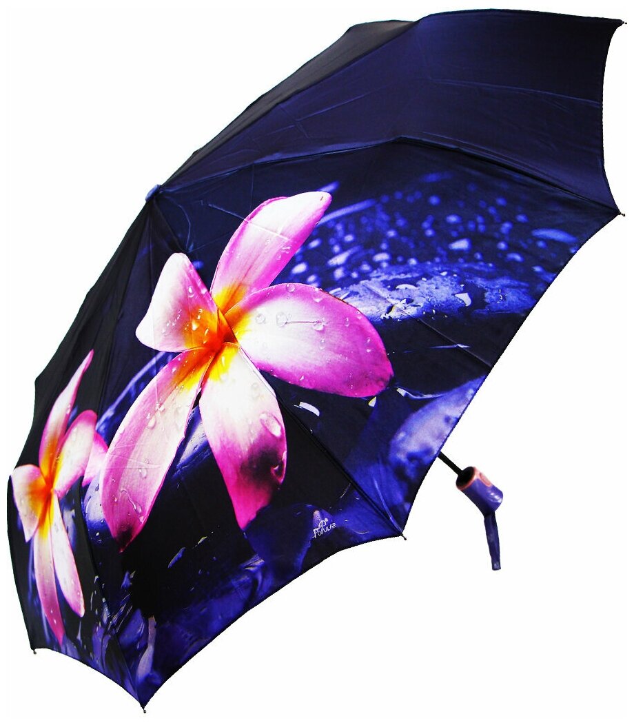   Popular umbrella 1296/-