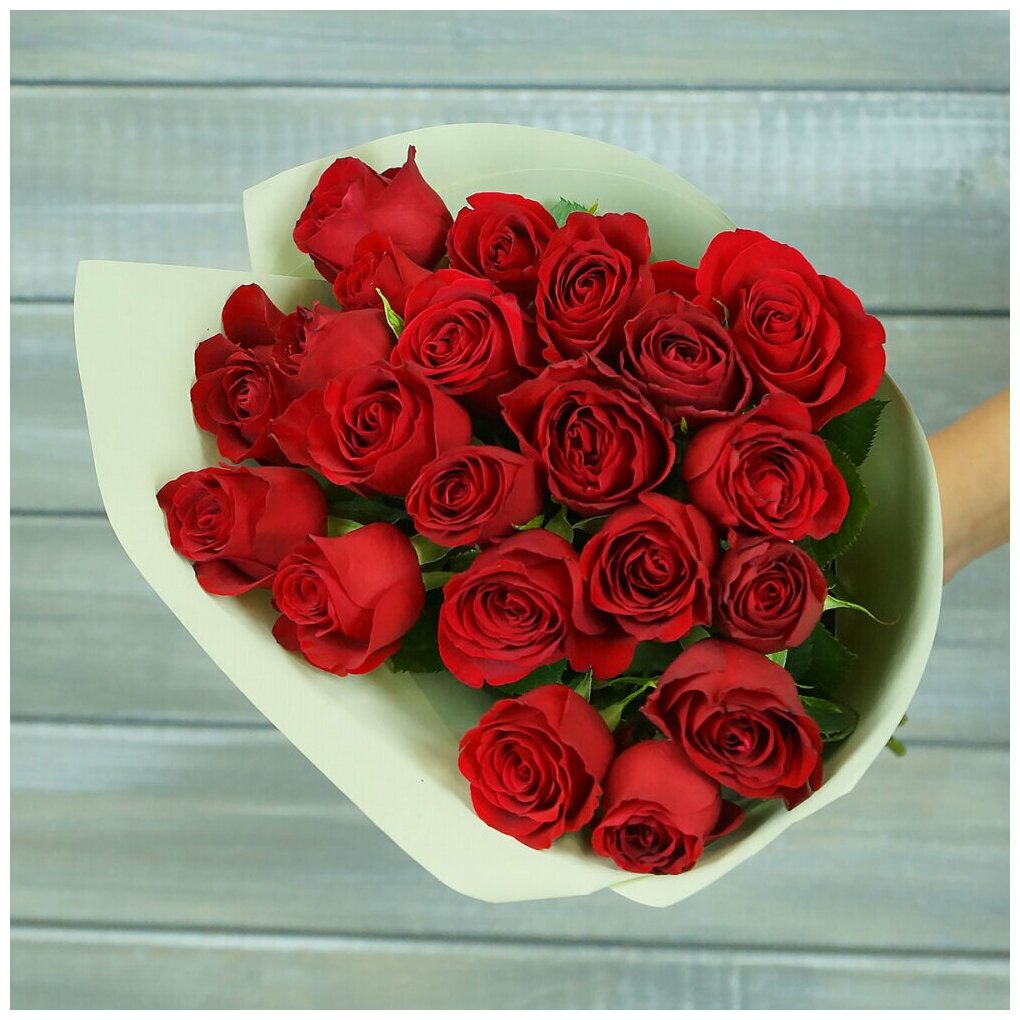 Букет из живых цветов 21 красной розы в упаковке 40см