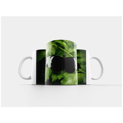 фото Кружка "бабочка, распахнуть крылья, черное и белое" 320 мл lotsprints