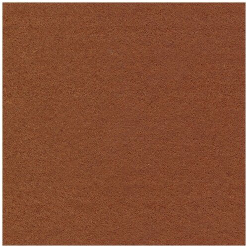 Фетр декоративный BLITZ 20х30 см, 5 шт, № 063, светло-коричневый (FKC10-20/30)