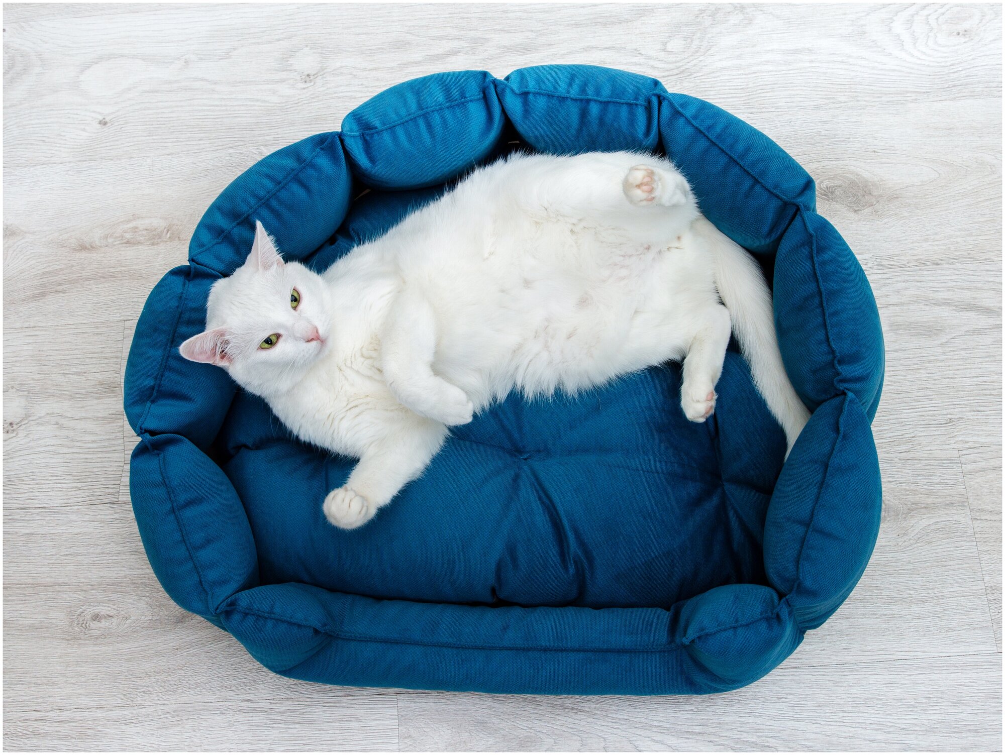 Мягкая лежанка для кошек, собак и животных овальная, 70х58х18см (L), синяя, YUGA - фотография № 5