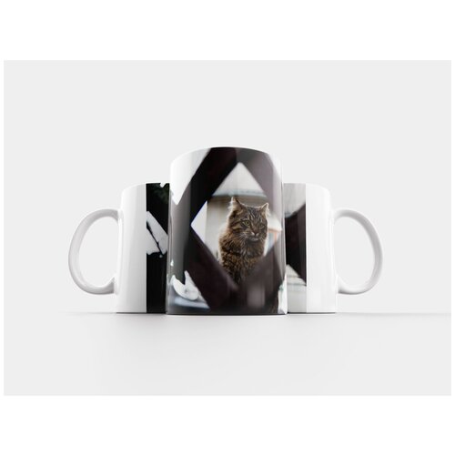 фото Кружка "cat, кіт, кот" 320 мл lotsprints