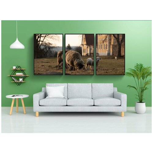 фото Набор модулных постеров для интерьера "овец, ягненок, млекопитающее" 60x90 см. в тубусе, без рамки lotsprints