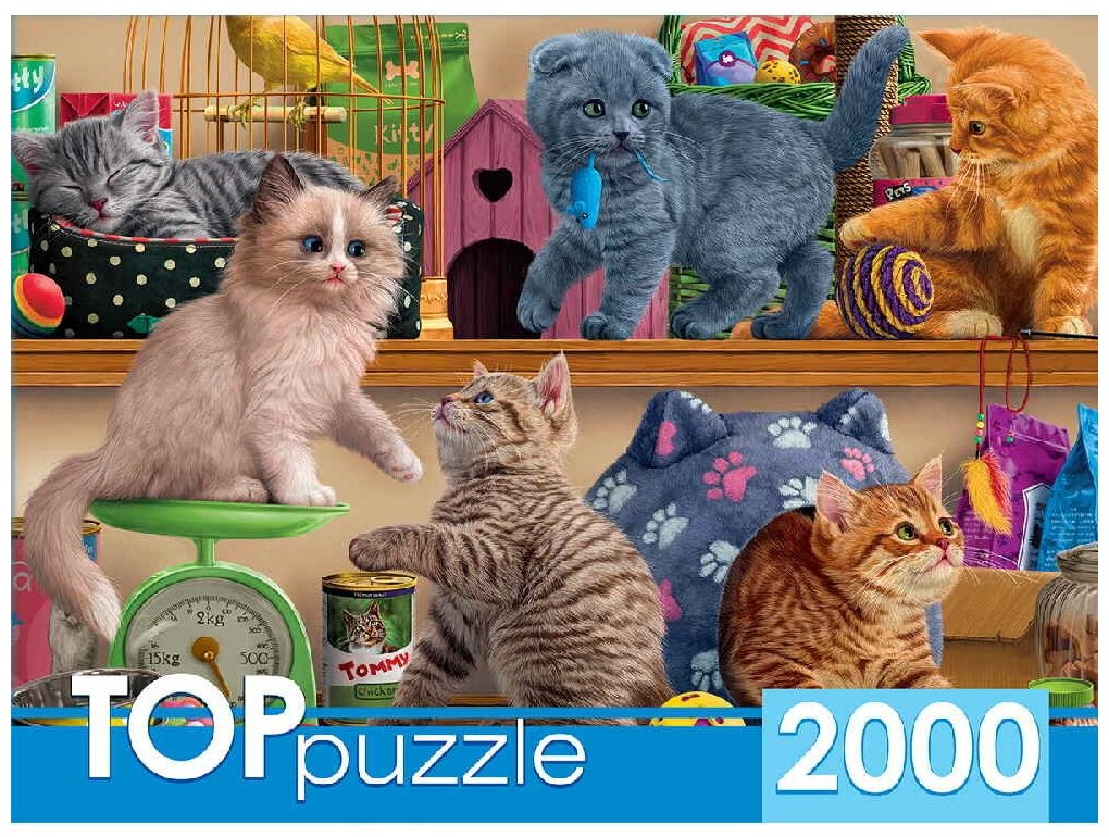 TOPpuzzle. Пазлы 2000 элементов. ХТП2000-1596 Смешные котята в зоомагазине