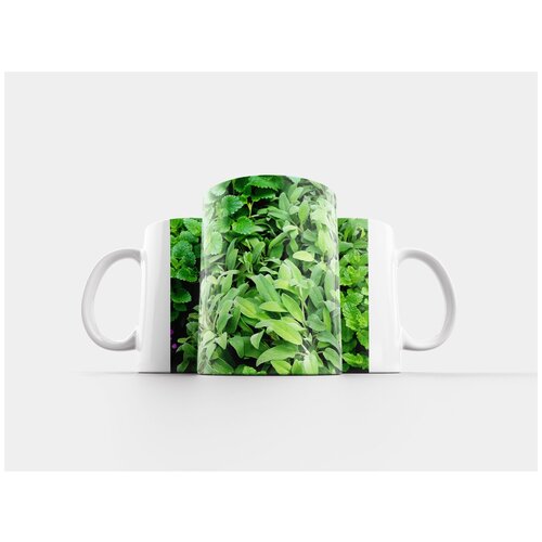 фото Кружка "мудрец, приправа, зеленый" 320 мл lotsprints