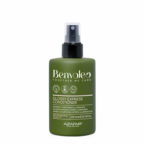 Экспресс-кондиционер для блеска волос GLOSSY EXPR CONDITIONER, 200 мл, Benvoleo, 23803