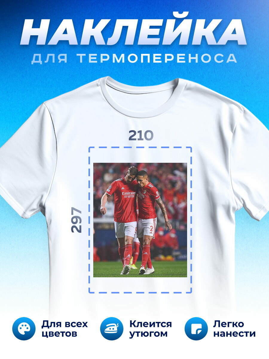 Термонаклейка для одежды наклейка Benfica Бенфика_0023