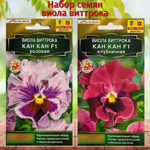 Семена цветов для сада и балкона Виола Виттрока 2 упаковки набор семян цветов виола кан кан f1 8 сортов