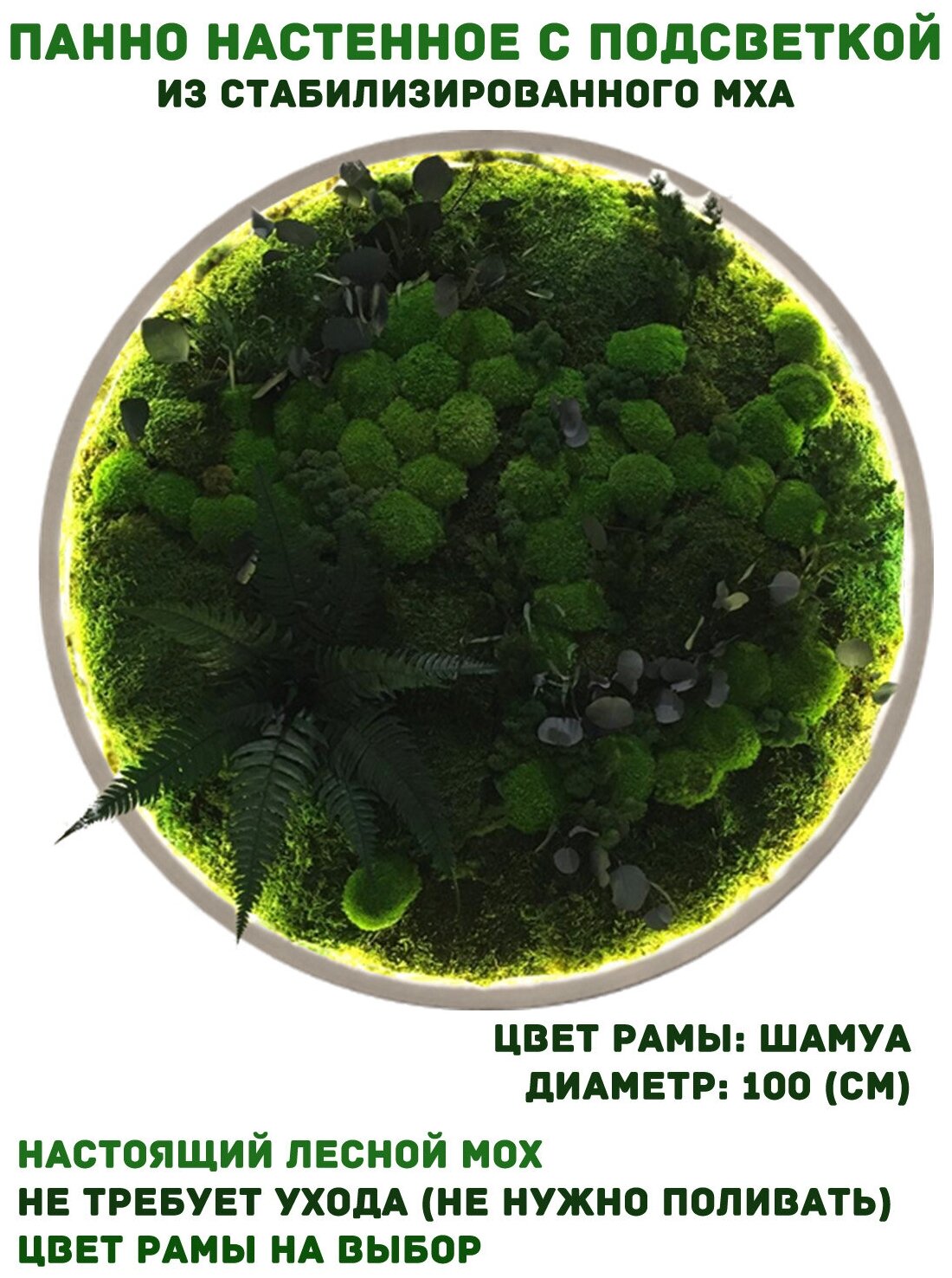 Круглое панно из стабилизированно мха GardenGo с подсветкой в рамке цвета шамуа диаметр 100 см, цвет мха зеленый