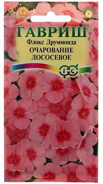 Семена цветов Флокс 