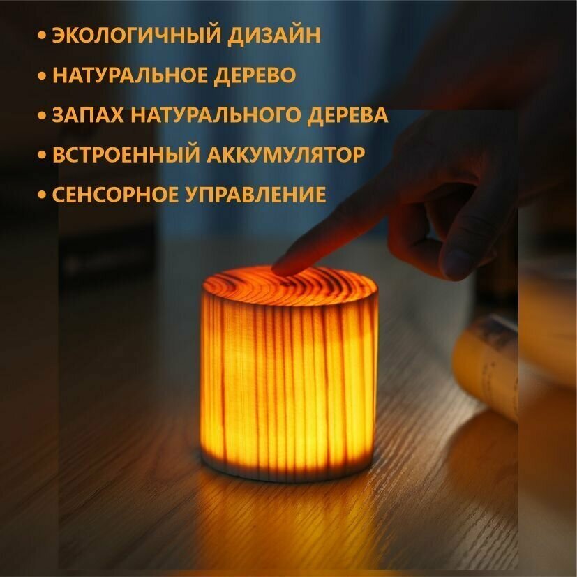 Деревянный светильник ночник, аккумуляторный, сенсорный. - фотография № 1