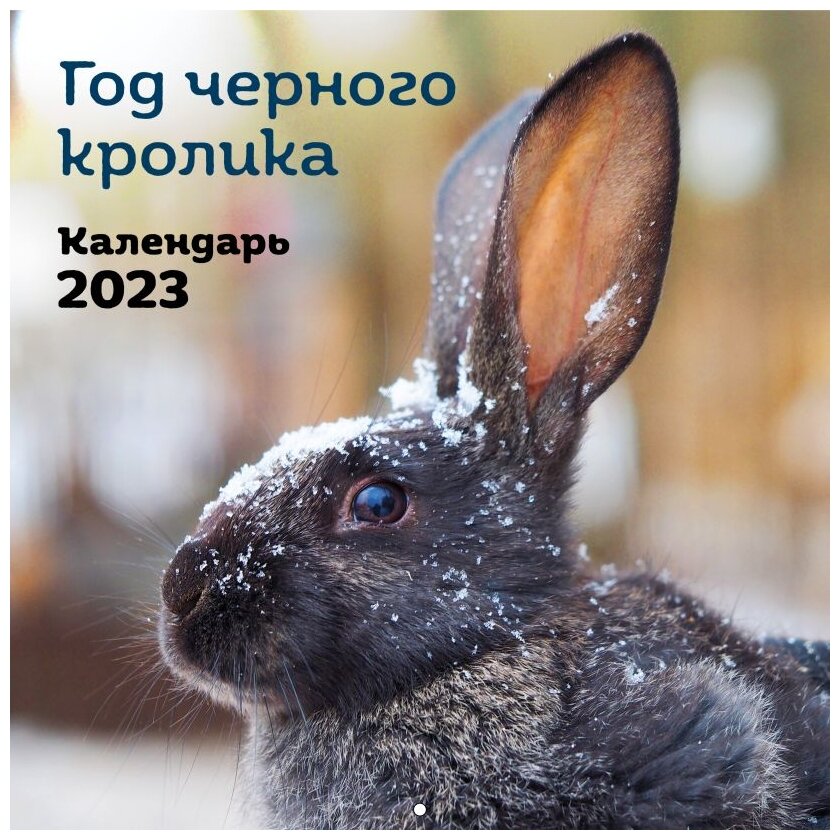 Календарь настенный Год черного кролика на 2023 год