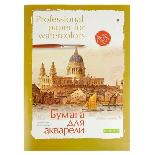 Папка для акварели А2, 8 листов Профессиональная, бумага Гознак, 200 г/м папка бумаги гознак для акварели а2 плотность 200г м 24 листа