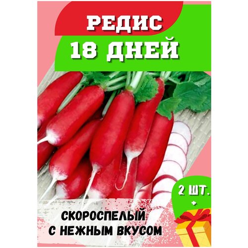 Семена редиса сорт 18 дней / посадочный материал агрофирма Аэлита / 2 шт.