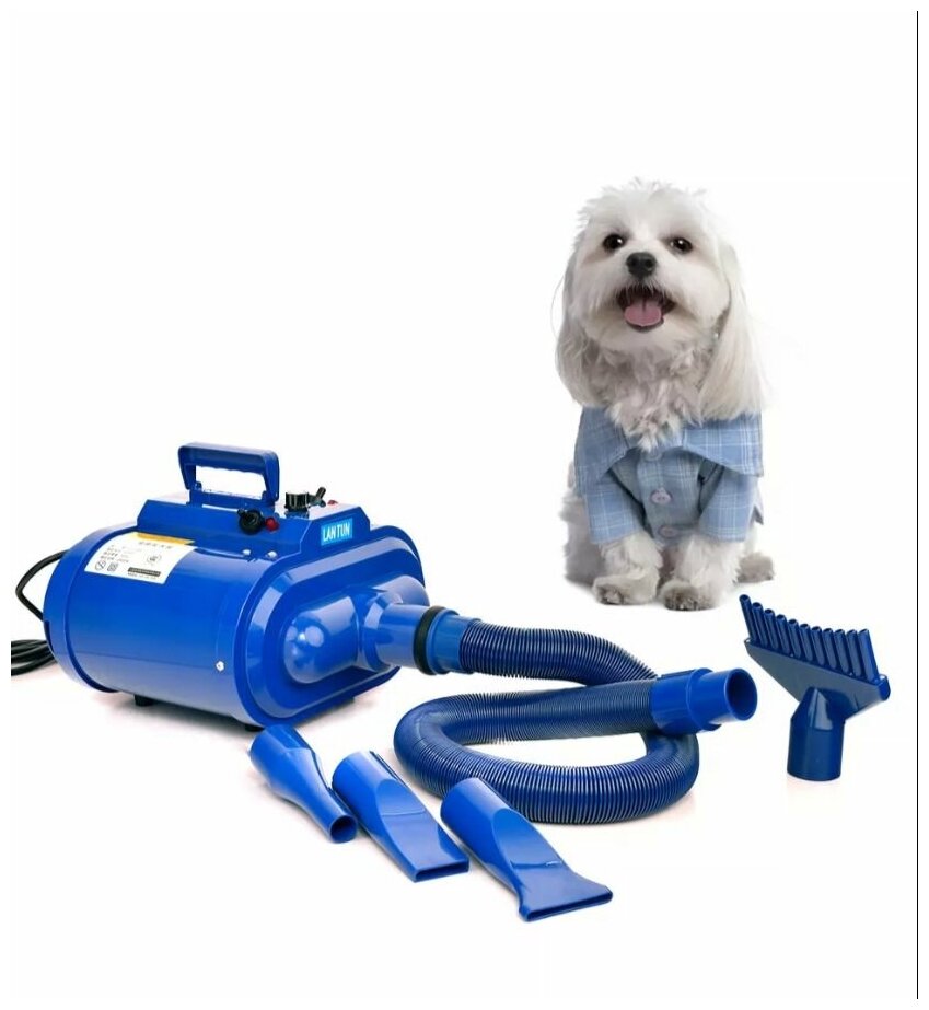 Codos CP-320 Фен-компрессор для сушки собак и кошек Двухмоторный, синий 325092 - фотография № 6