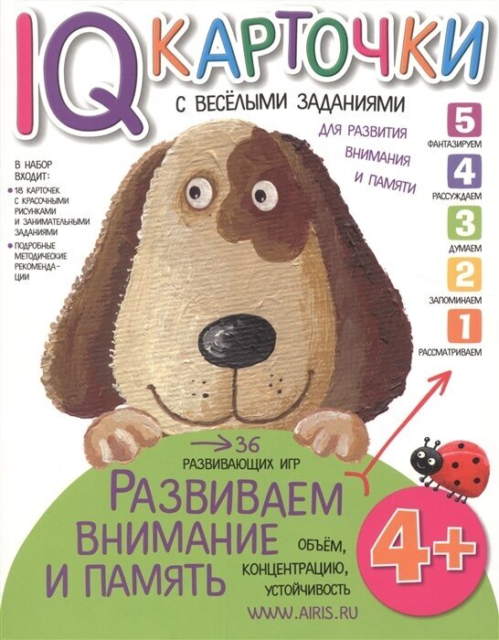 IQ-карточки с веселыми заданиями. Для развития внимания и памяти. 4 года