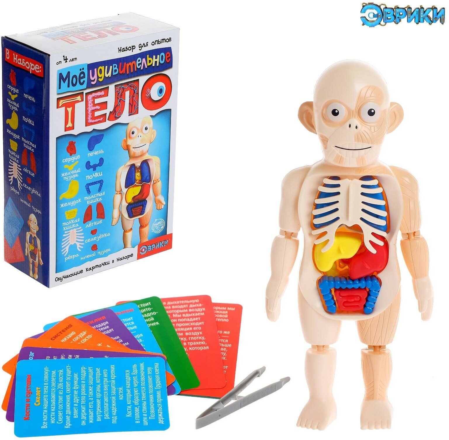 Набор для опытов «Мое удивительное тело», 5483302