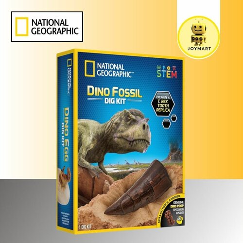 Набор National Geographic Dino fossil kit 2