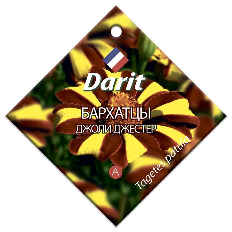 Семена Darit 