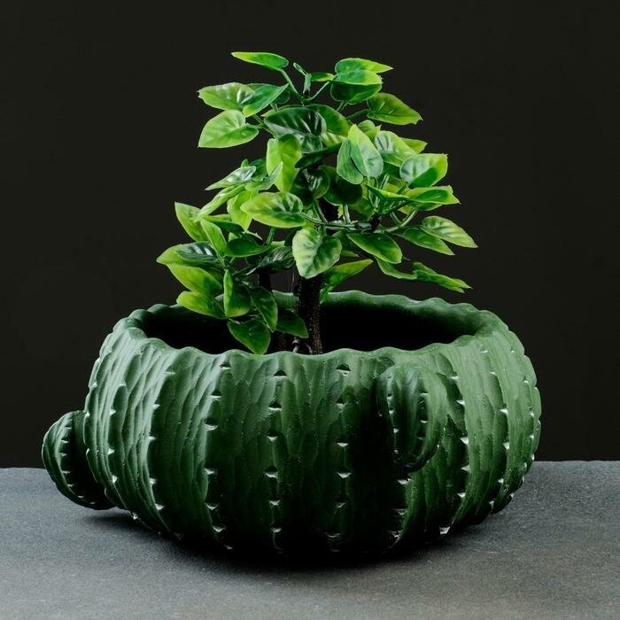 фото TAKE IT EASY Кашпо - бонсай "Кактус" 19х9см