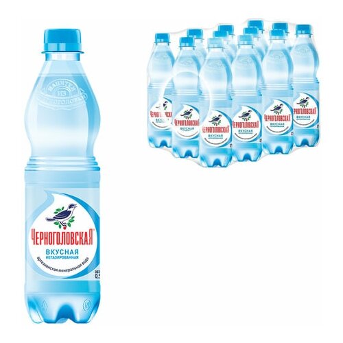 фото Вода негазированная минеральная "черноголовская", 0,5 л, пластиковая бутылка, 12 шт. черноголовка