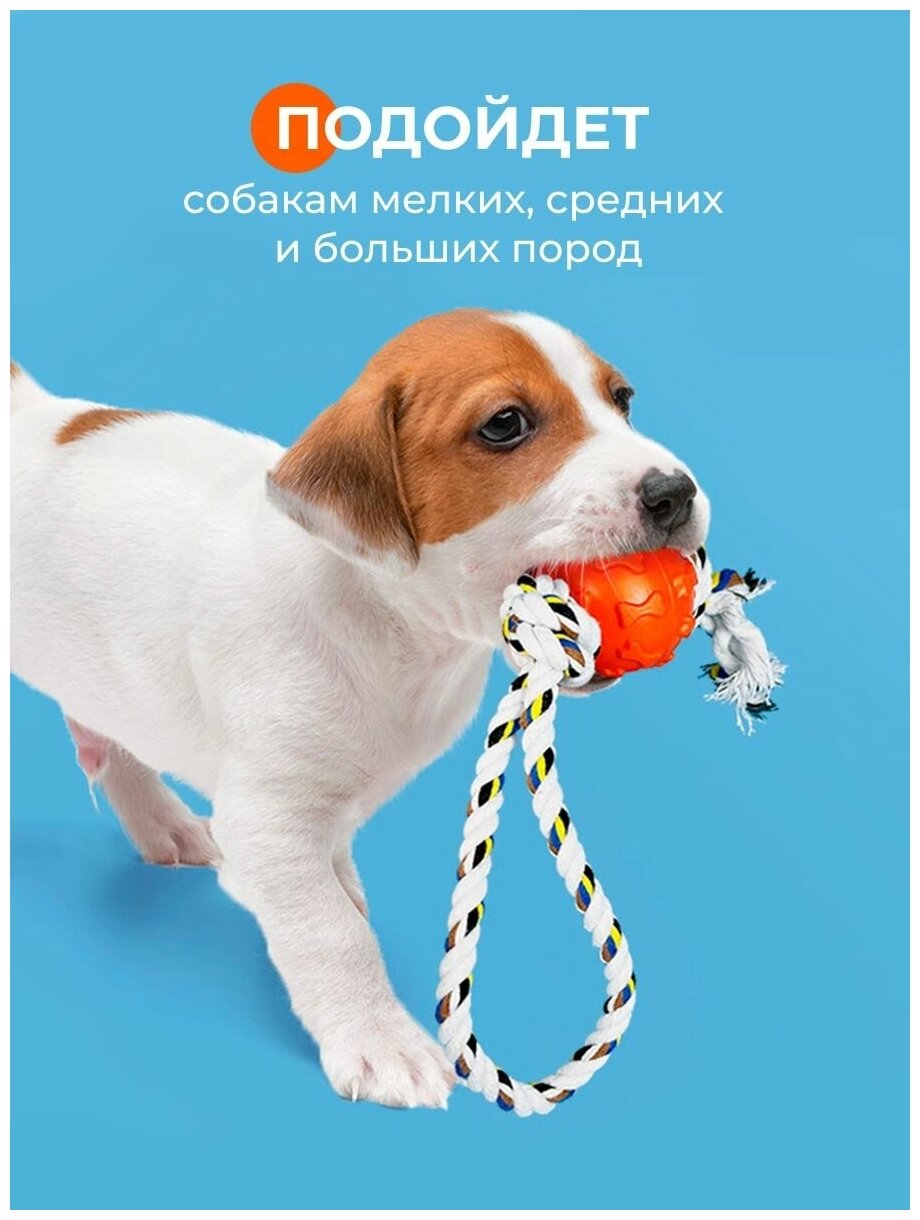 Игрушки для собаки с канатом - фотография № 4
