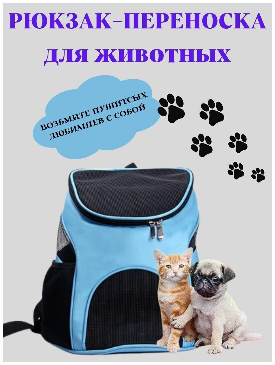 Переноска рюкзак для кошек и собак малых пород, размер S, переноска для животных - фотография № 1