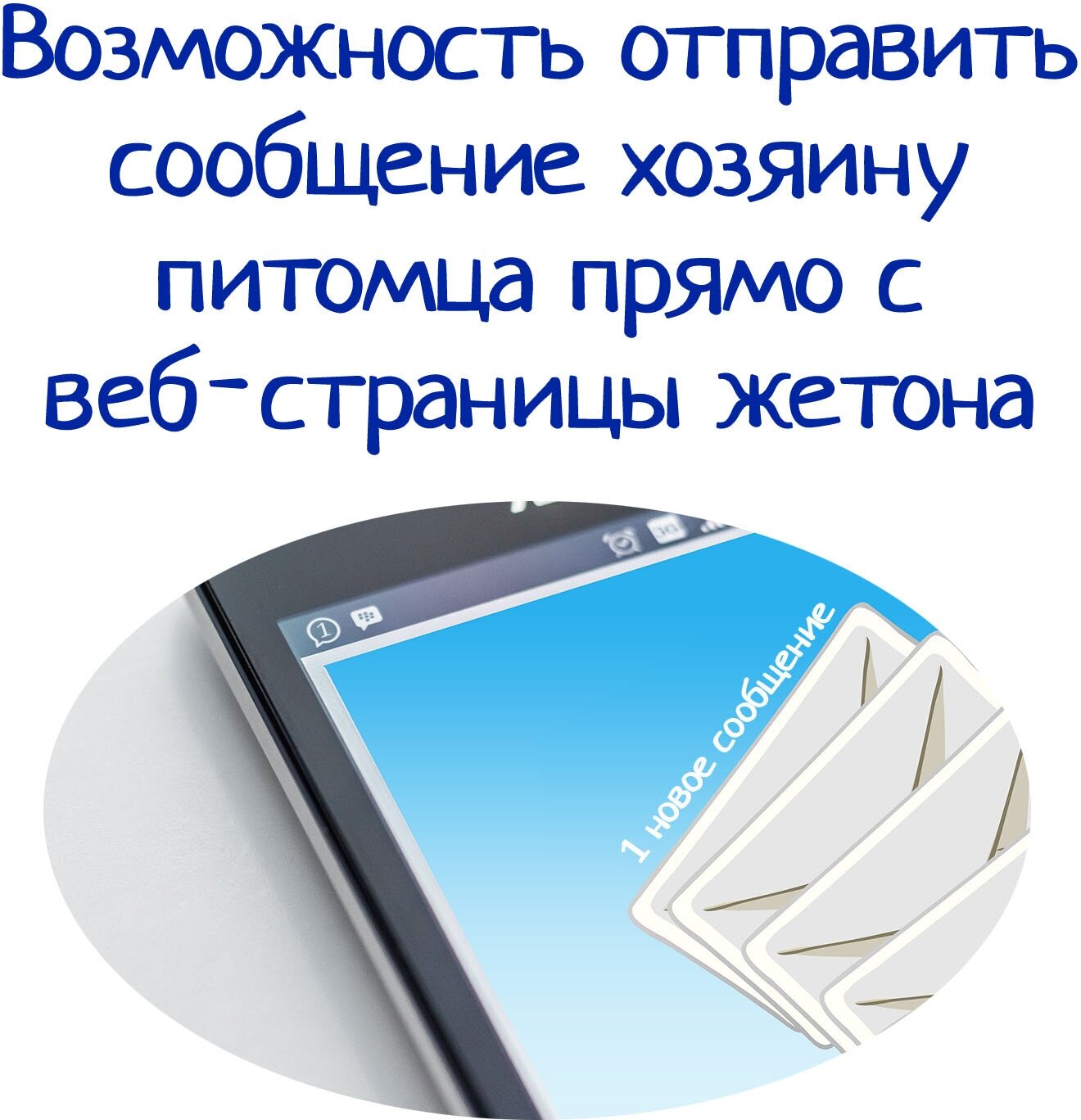 Адресник с QR-кодом для собак и кошек «Адрес питомца» 30 мм золотой - фотография № 6