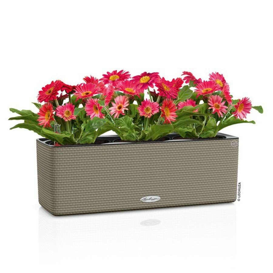 Кашпо LECHUZA подвесное с автополивом CUBE Color Triple (Balconissima), 5л, 12x13.5 см, 40x14x13.5 см, темно-серый - фото №14
