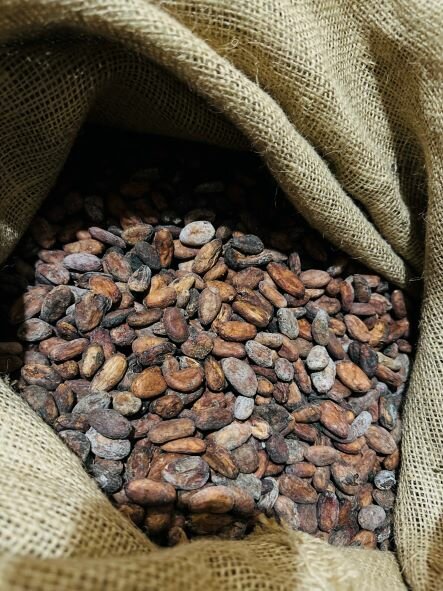 Какао бобы венесуэла SUR DEL LAGO Tucani Вес 1 кг. - фотография № 1