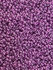 Бисер чешский PRECIOSA круглый 10/0 37128 сиреневый непрозрачный, 1 сорт, 50г