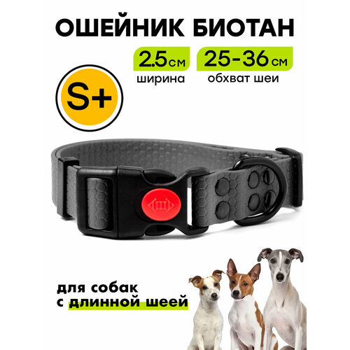 Ошейник из биотана 25-36 см (S+), 25 мм, Woofy "Iron" водостойкий, для небольших и средних собак, серый