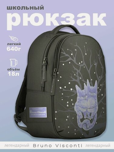 Изображение товара Рюкзак Bruno Visconti темно-серый с эргономичной спинкой "нежные котики"