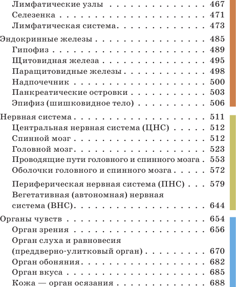 Анатомия человека. Русско-латинский атлас - фото №7