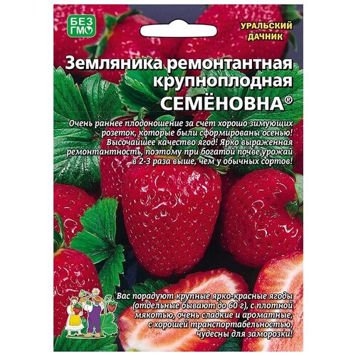 Семена Земляники ремонтантной крупноплодной Семеновна (10 семян)