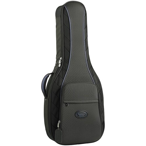 Reunion Blues RBC3CBK reunion blues rbc3cbk continental classical guitar case кейс для классической гитары ткань