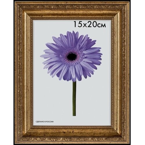 Пластиковая рамка ООО Изометрика Dorothy 50x70 см золотая 0023-50-4274