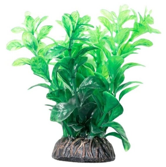 Растение Laguna "Людвигия" зеленая, 100мм