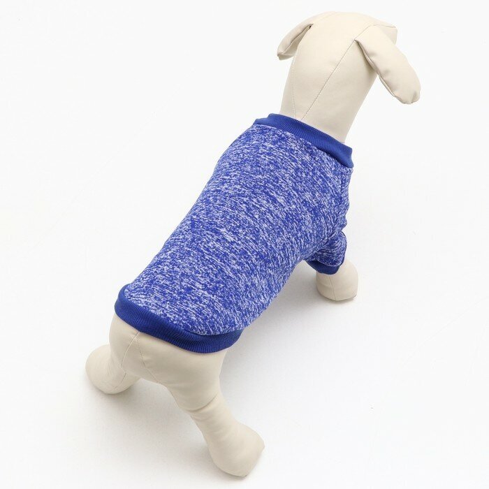 Свитер для собак КНР меланжевый, размер XS, спинка 14, шея 23, грудь 22 см, синий (GG-1) - фотография № 12