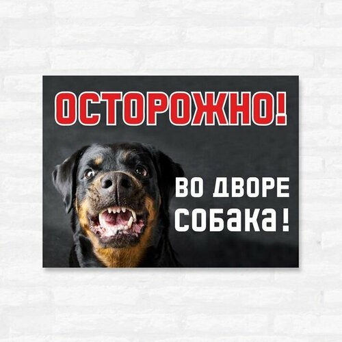 Табличка "Осторожно! Во дворе собака", 27х20 см, ПВХ