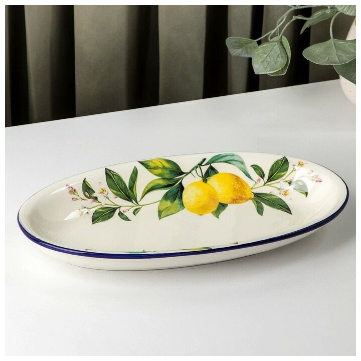 Блюдо овальное Доляна «Лимон», 28×14,5 см, цвет белый